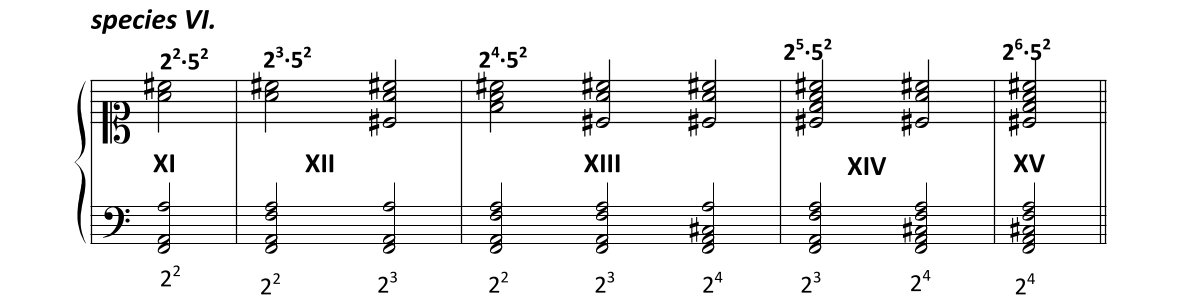 Konsonanzen Homepage Species6 1