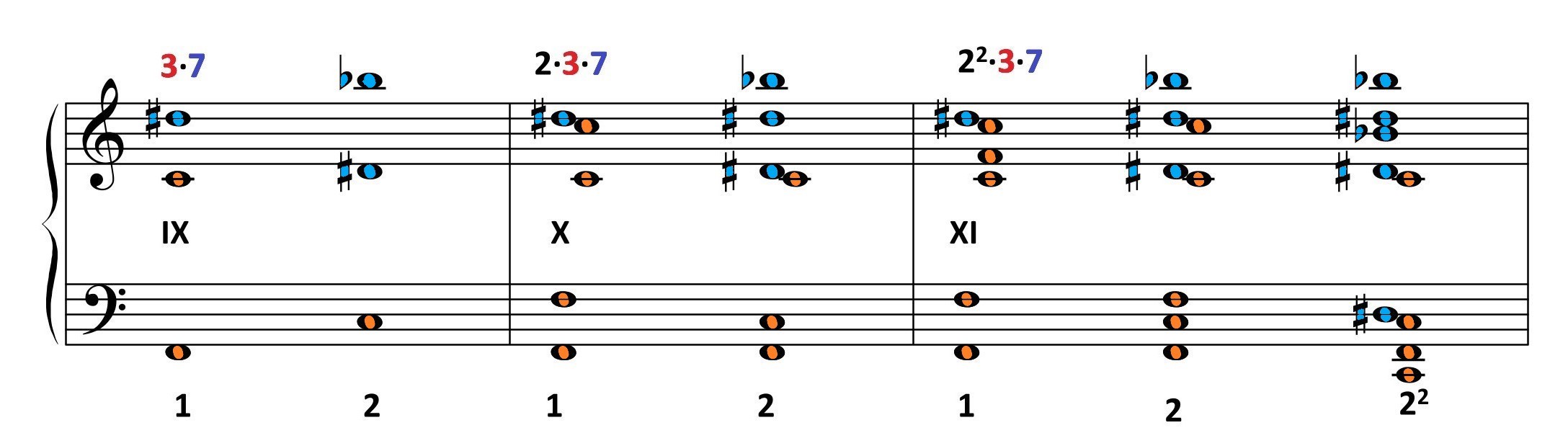 Konsonanzen Homepage species II7